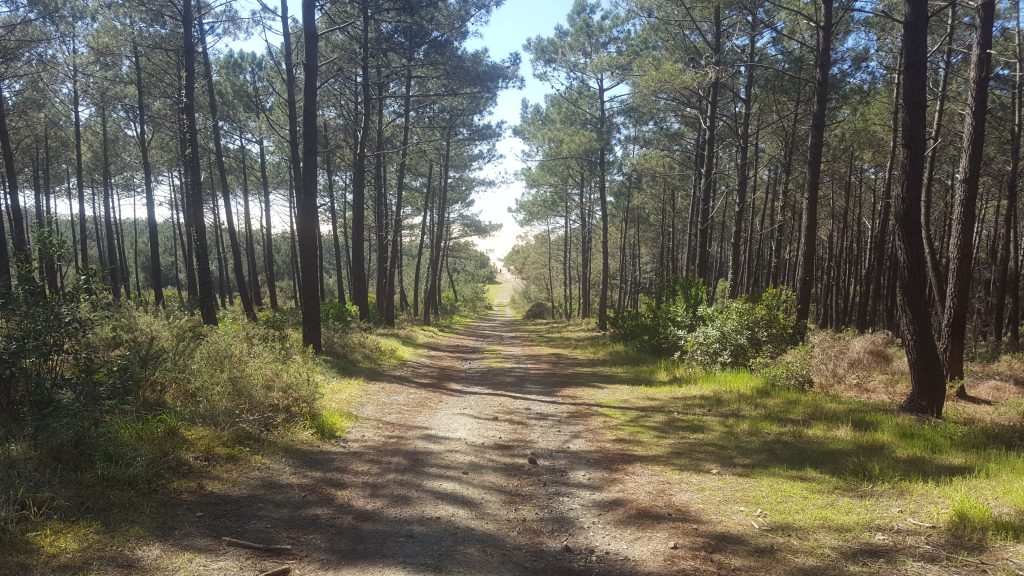 randonnée, gîte à Messanges